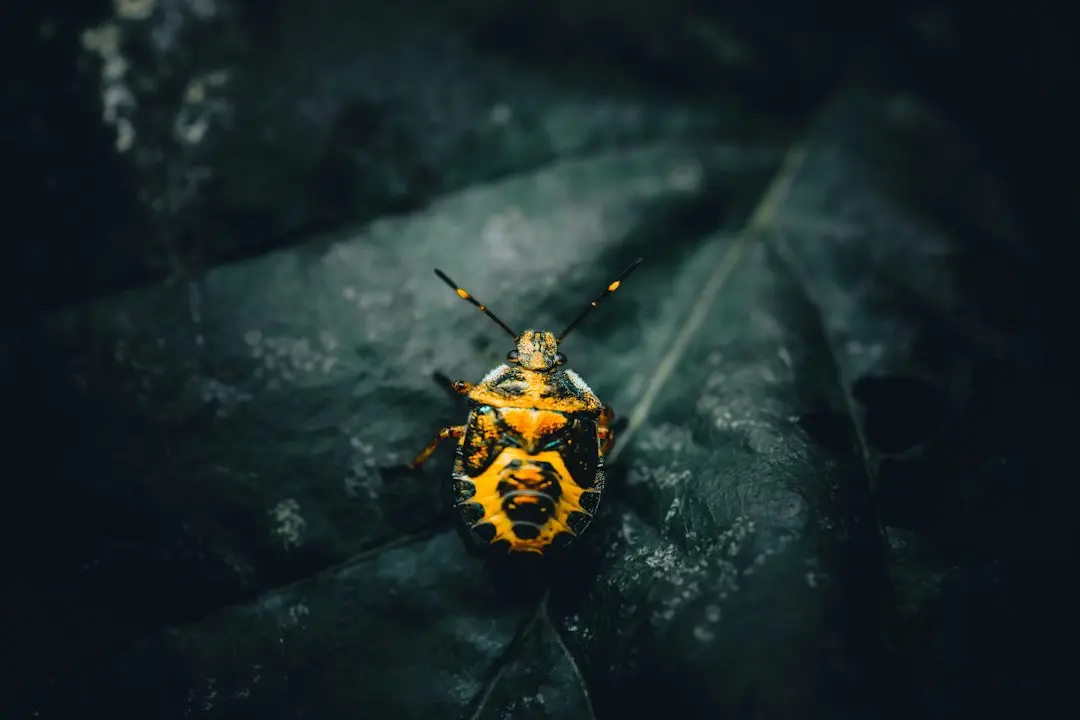 Bug critic în aplicația abandonată Time4Popcorn a expus milioane de dispozitive la execuție de cod la distanță